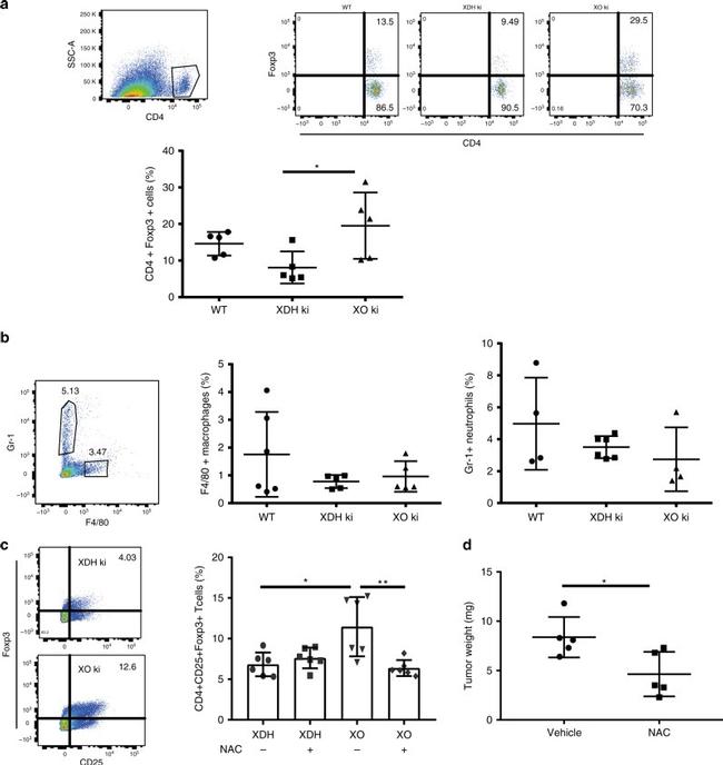 CD25 Antibody in Flow Cytometry (Flow)