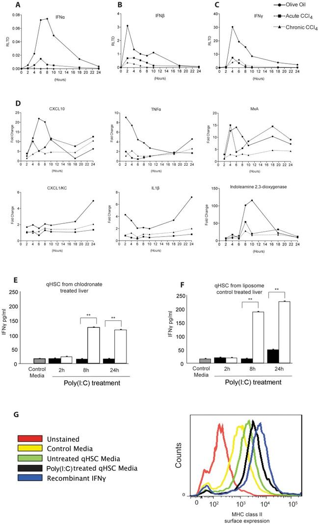 MHC Class II Antibody in Flow Cytometry (Flow)