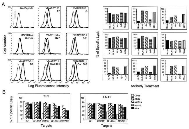 HLA-E Antibody in Flow Cytometry (Flow)