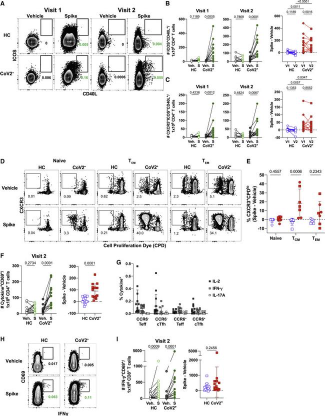 CD154 (CD40 Ligand) Antibody in Flow Cytometry (Flow)