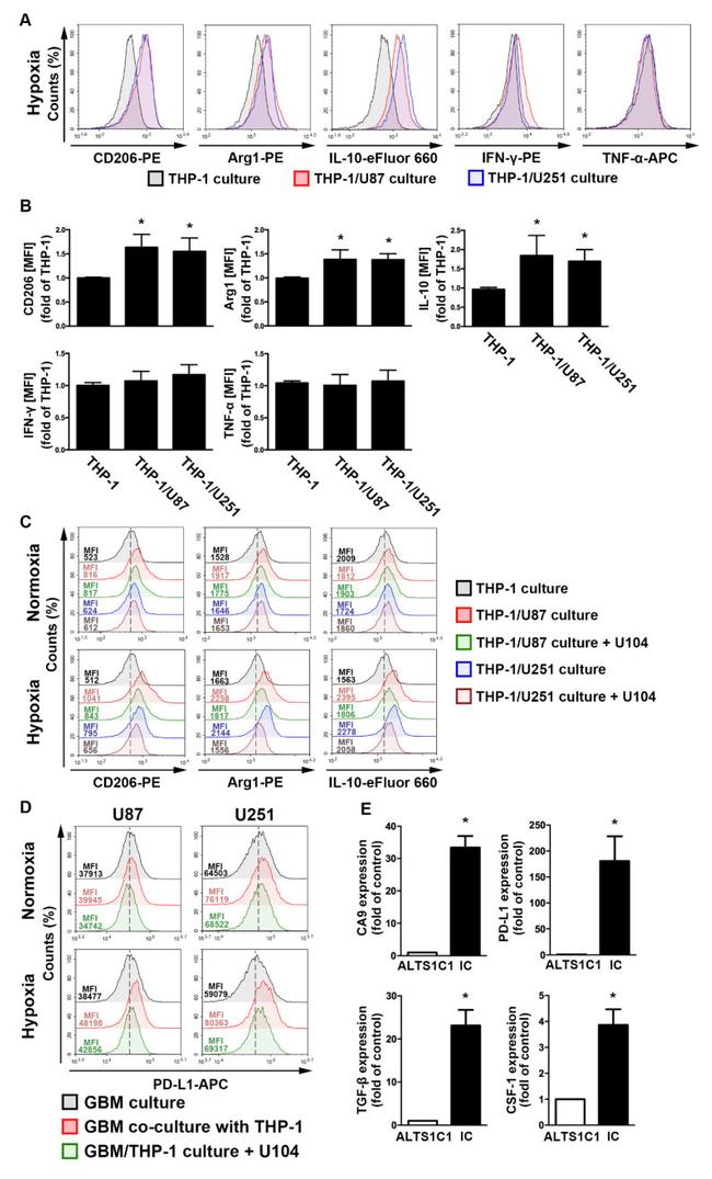 IFN gamma Antibody in Flow Cytometry (Flow)