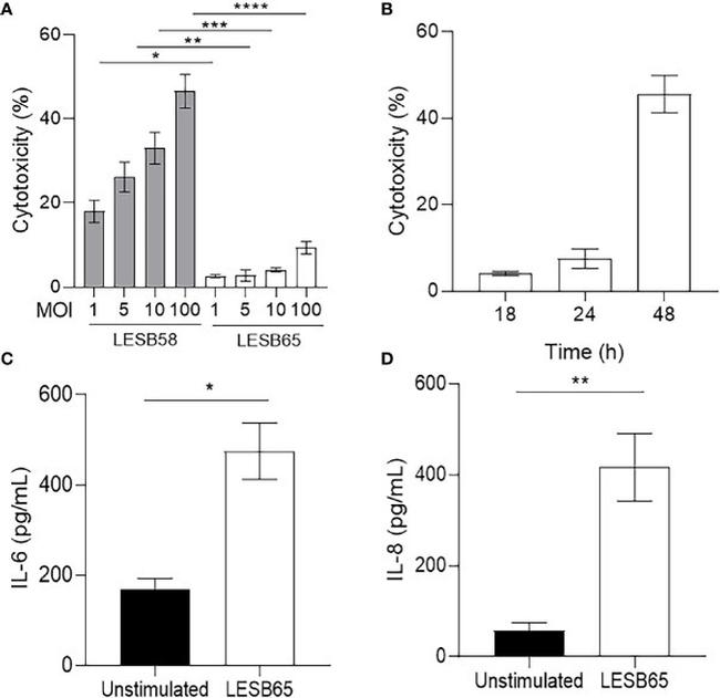 IL-6 Antibody in ELISA (ELISA)