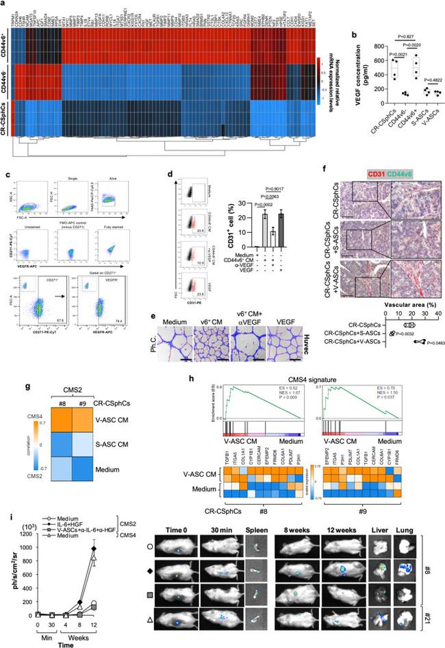 CD34 Antibody in Flow Cytometry (Flow)