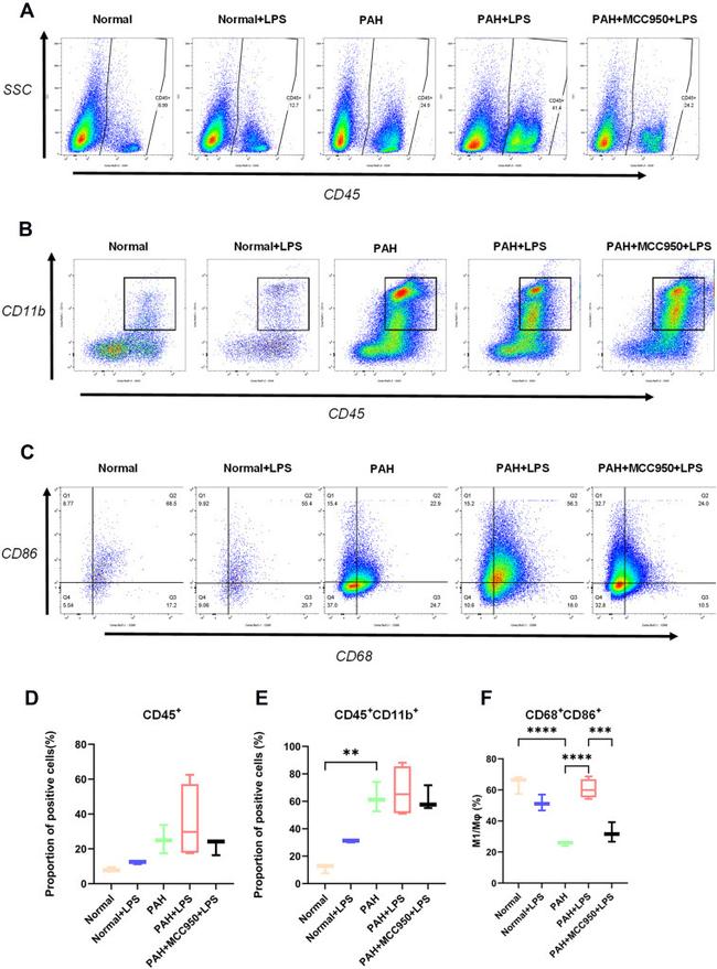 CD68 Antibody in Flow Cytometry (Flow)