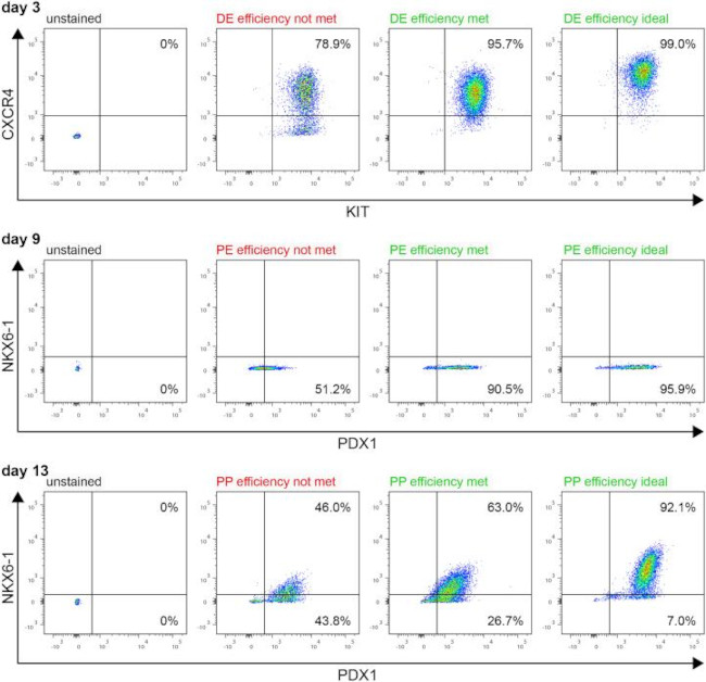 c-Kit Antibody in Flow Cytometry (Flow)