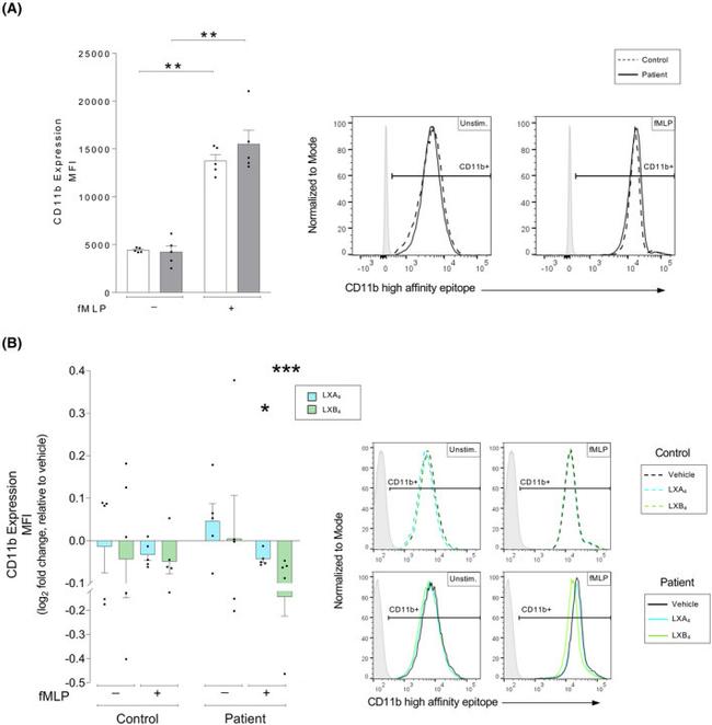 CD11b (activation epitope) Antibody in Flow Cytometry (Flow)