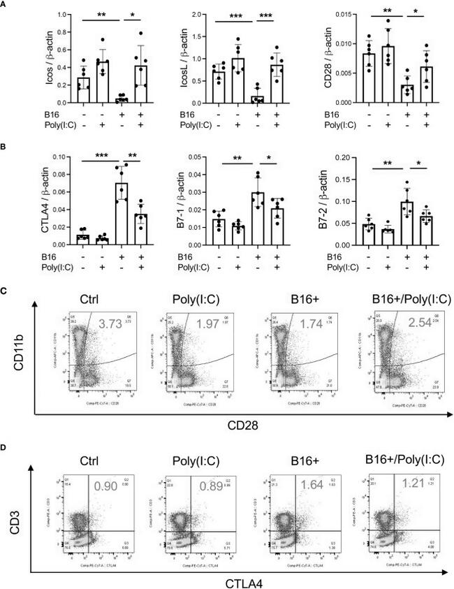 CD152 (CTLA-4) Antibody in Flow Cytometry (Flow)