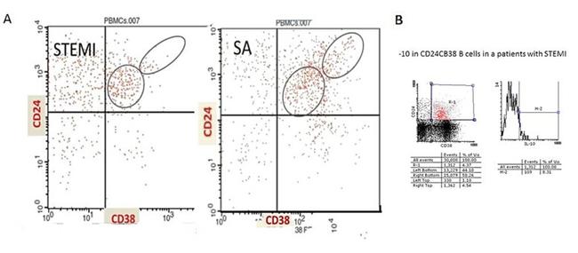 IL-10 Antibody in Flow Cytometry (Flow)