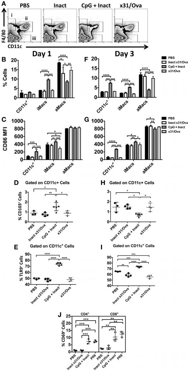 CD289 (TLR9) Antibody in Flow Cytometry (Flow)