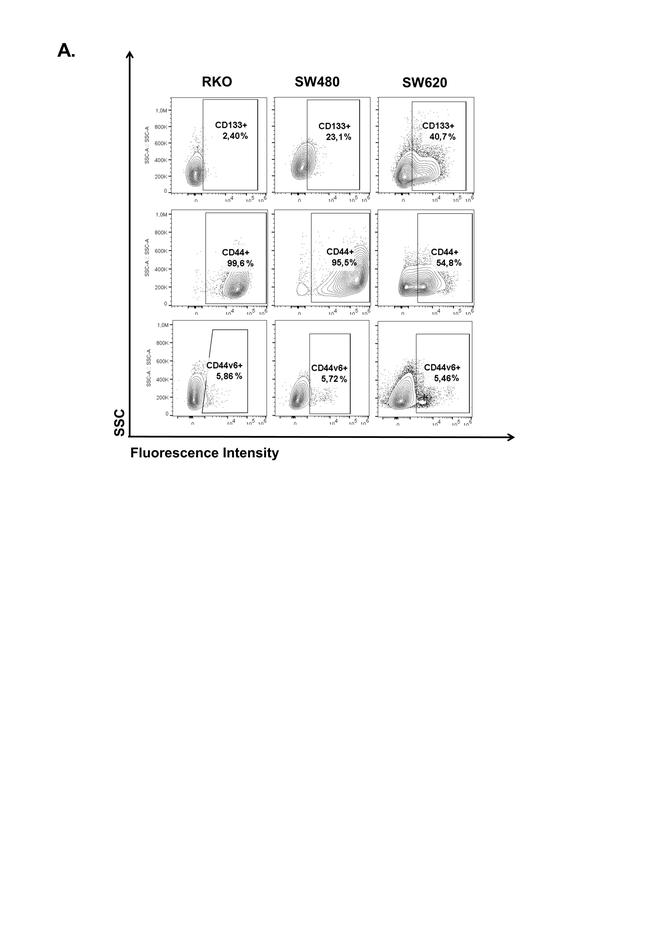 CD44var (v6) Antibody in Flow Cytometry (Flow)