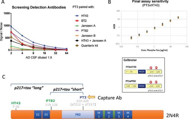 Tau Antibody in ELISA (ELISA)