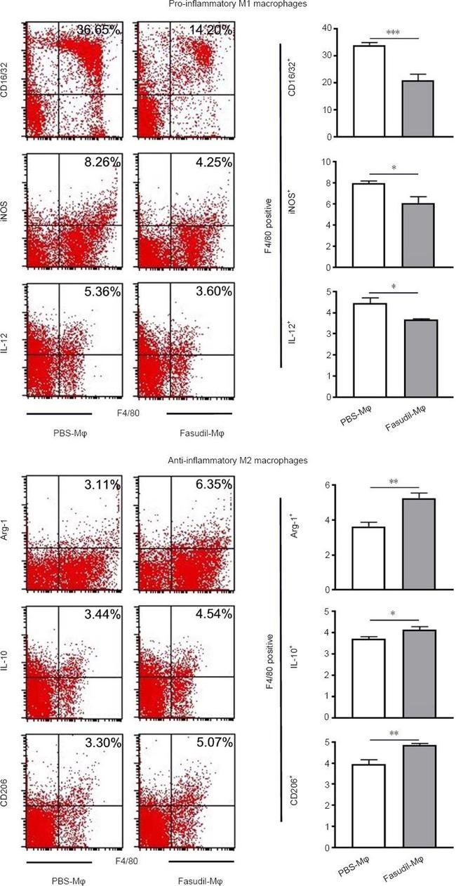 IL-10 Antibody in Flow Cytometry (Flow)