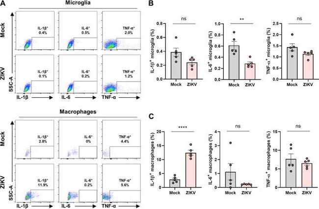 IL-6 Antibody in Flow Cytometry (Flow)