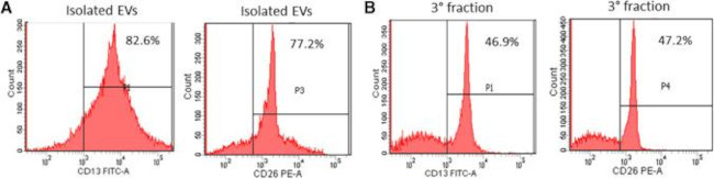 CD26 Antibody in Flow Cytometry (Flow)