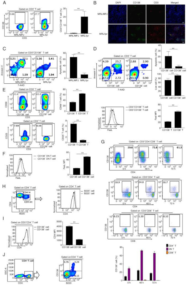 CD25 Antibody in Flow Cytometry (Flow)