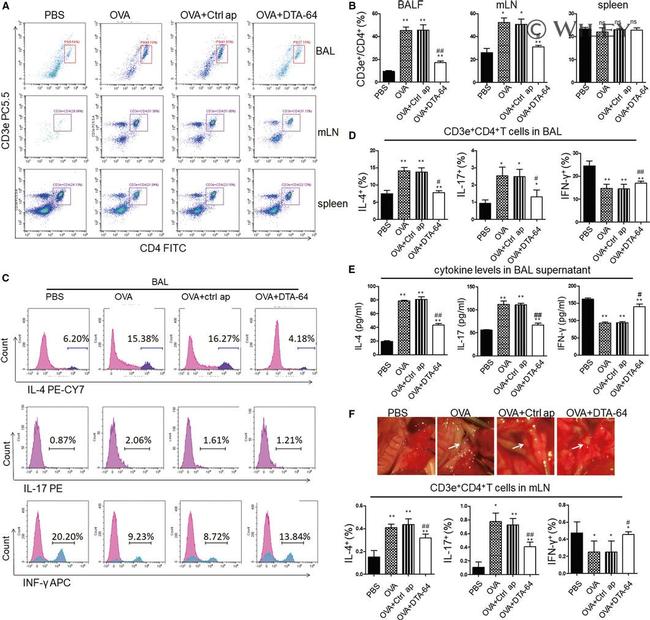 IL-4 Antibody in Flow Cytometry (Flow)