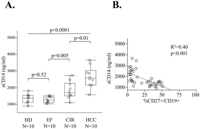 TLR4 Antibody in ELISA (ELISA)