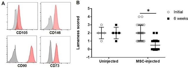 CD105 Antibody in Flow Cytometry (Flow)